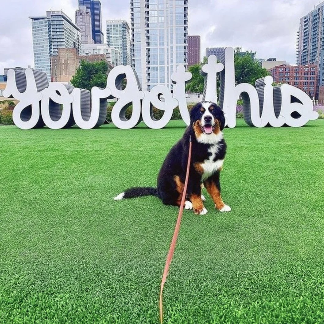 Large-scale “You Got This” public art sculpture by Matthew Hoffman installed in downtown Chicago with surrounding urban architecture and skyline views.