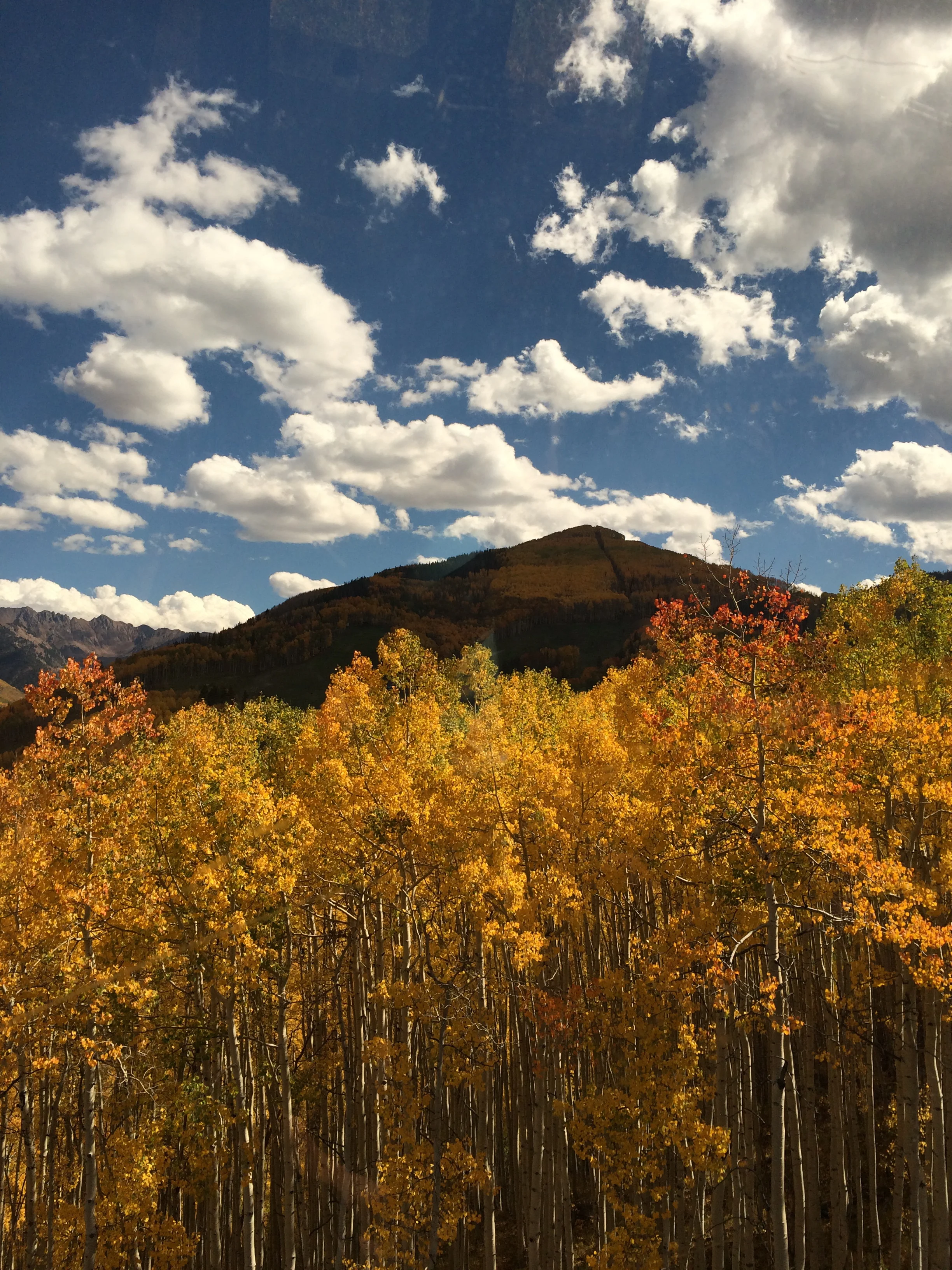 Get outside for the best source of Vitamin D. Just don't get burned!