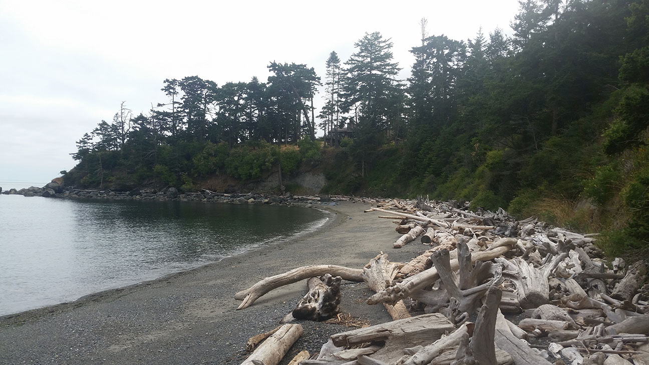 The site as seen from the beach