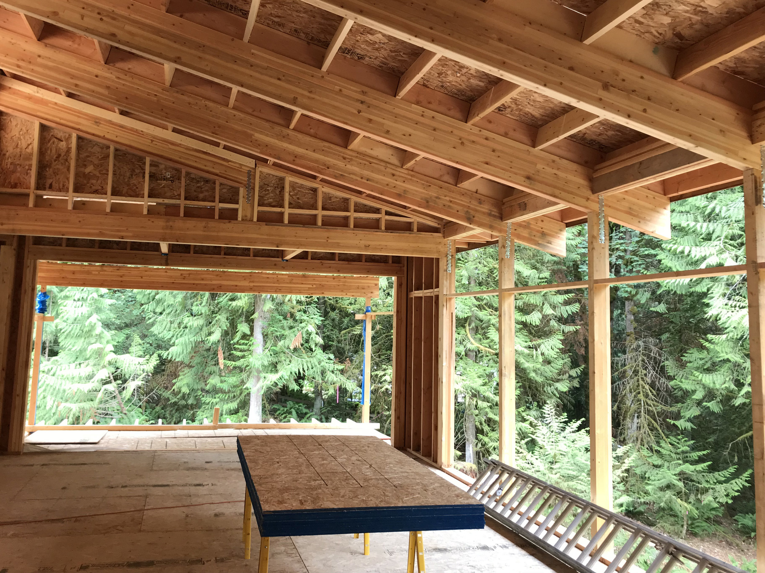   Lifting the roof for the clerestory creates a sloped roof over great room. The laminated beans which will remain exposed in the finished house, draw the eye through the window wall to support the 2’ deep overhangs and draw the eye down to the view.