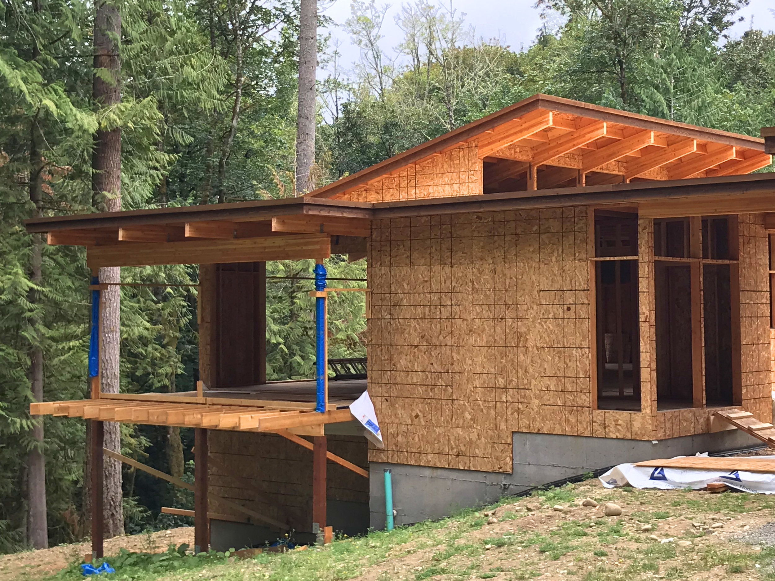  The post and beam system can support deep floor and roof overhangs, here support the dining room and covered deck that “float” up in trees (note the sunlit great room behind).  