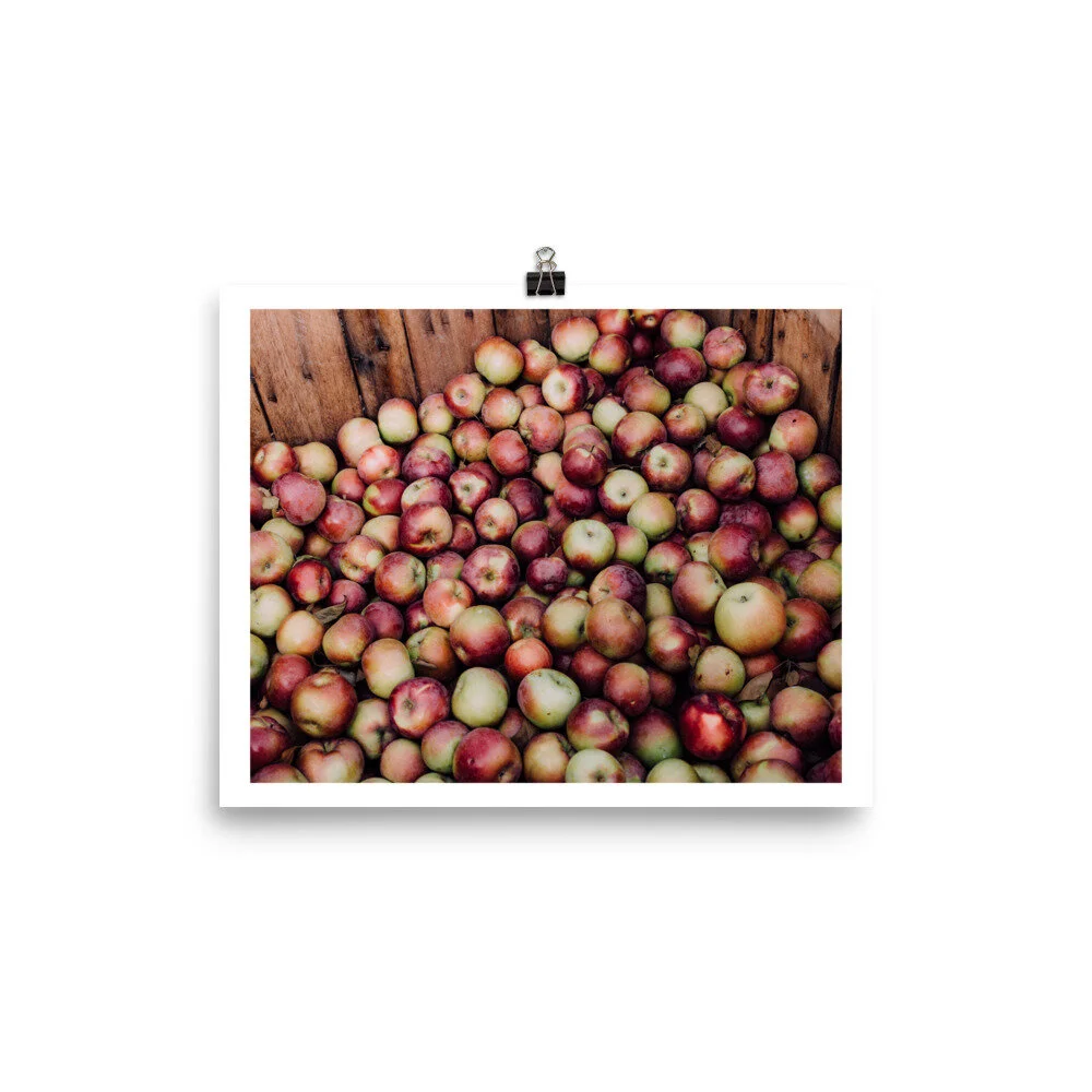 enhanced-matte-paper-poster-(in)-8x10-5fed293c7262c.jpg