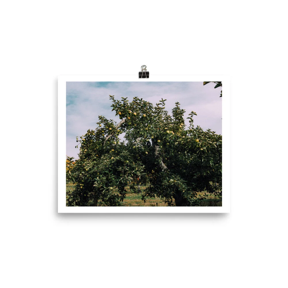 enhanced-matte-paper-poster-(in)-8x10-5fed29f91c483.jpg