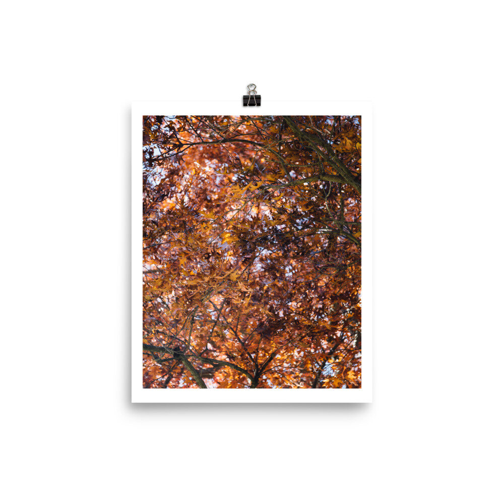 enhanced-matte-paper-poster-(in)-8x10-5fed2e717d620.jpg