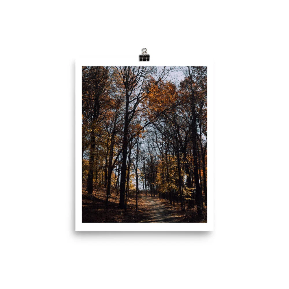 enhanced-matte-paper-poster-(in)-8x10-5fed2f37f22ef.jpg