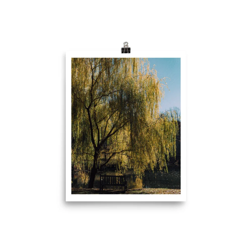 enhanced-matte-paper-poster-(in)-8x10-5fed2ff025058.jpg