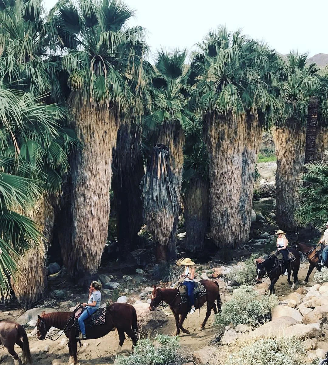 Horseback Riding with Smoke Tree Stables