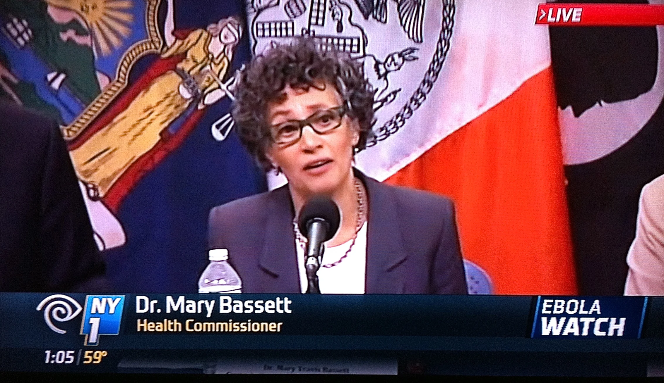 Commissioner of the New York City Department of Health and Mental Hygiene, Dr. Mary Bassett , announced that a federal discussion will decide how Ebola protocols in New York will treat New York physicians returning from West African nations, where the physicians would have had contact with people with Ebola. Source : NY1