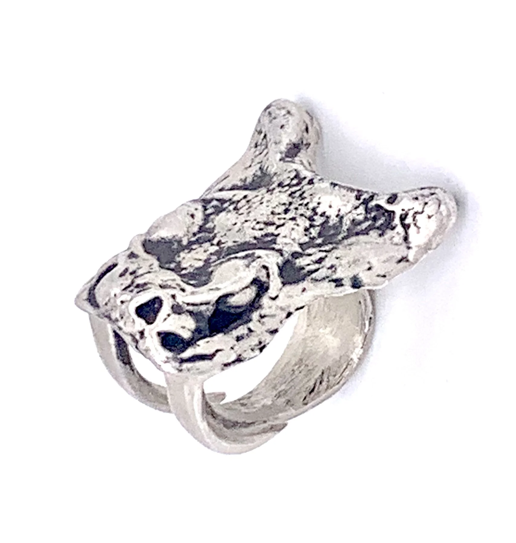 snake bite silver crop.jpeg