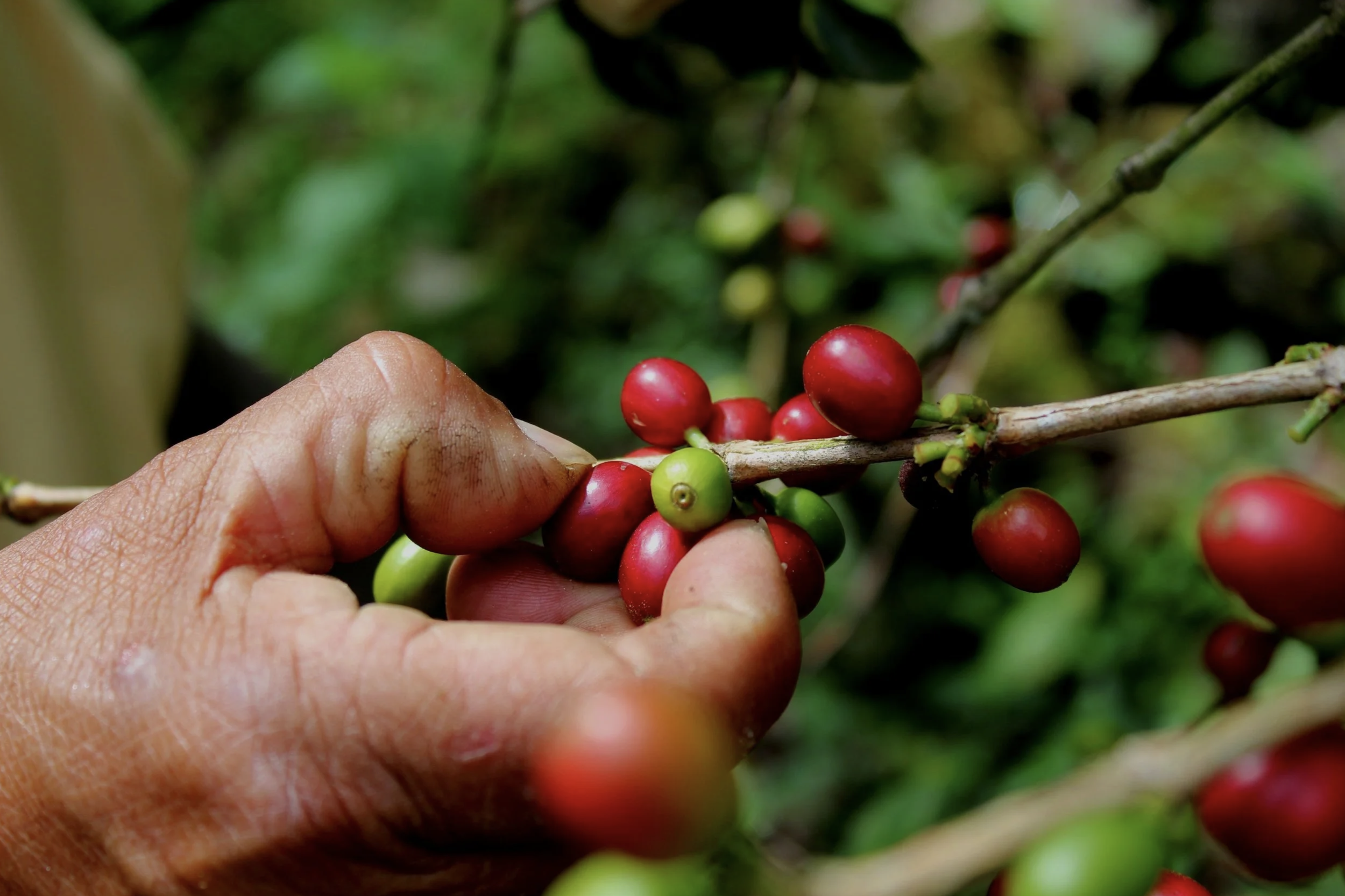 Captura de pantalla 2025-08-16 a la(s) 10.26.23 p. m..png