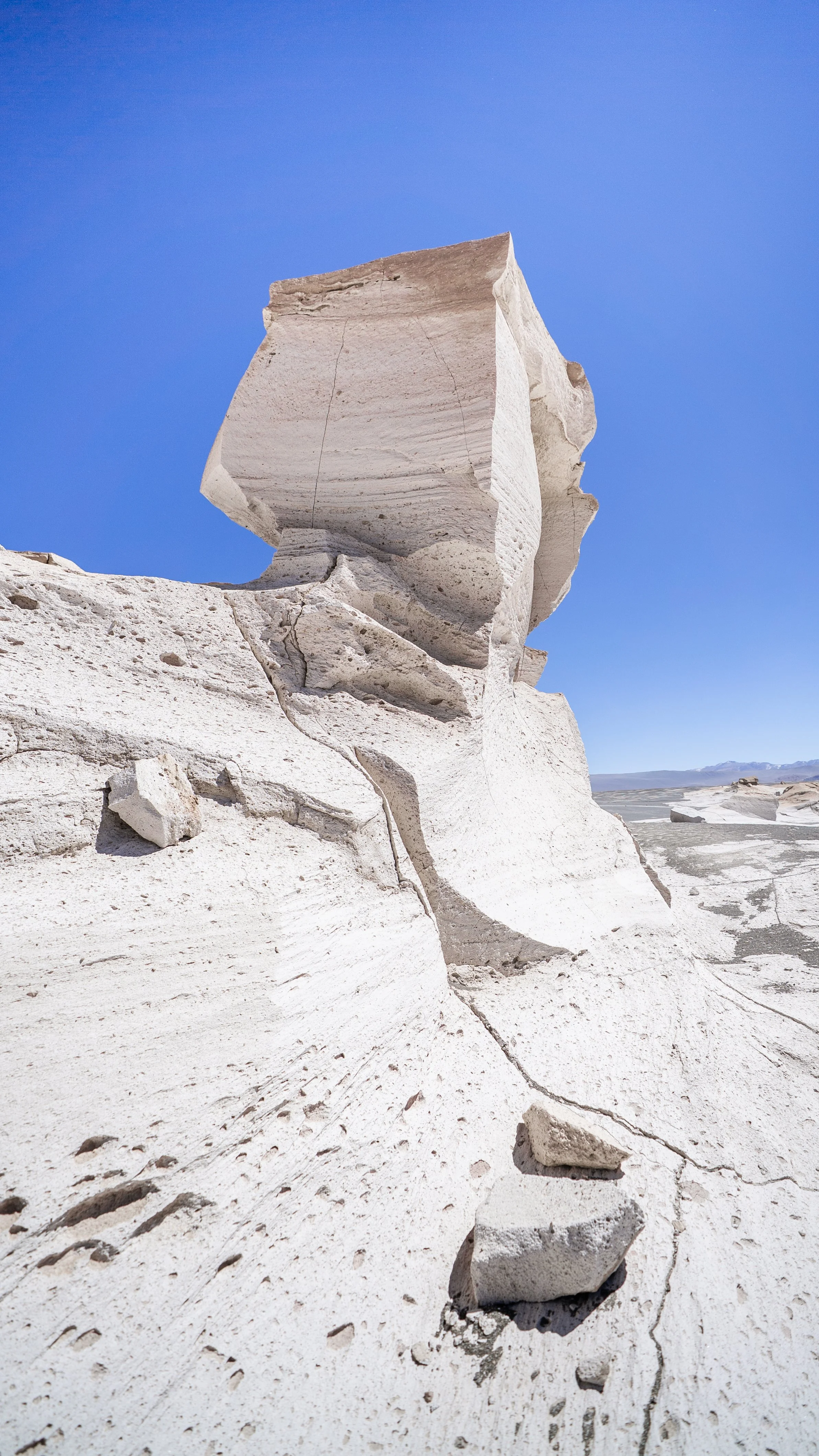 inserts 16-9 video presentacion-17.jpg