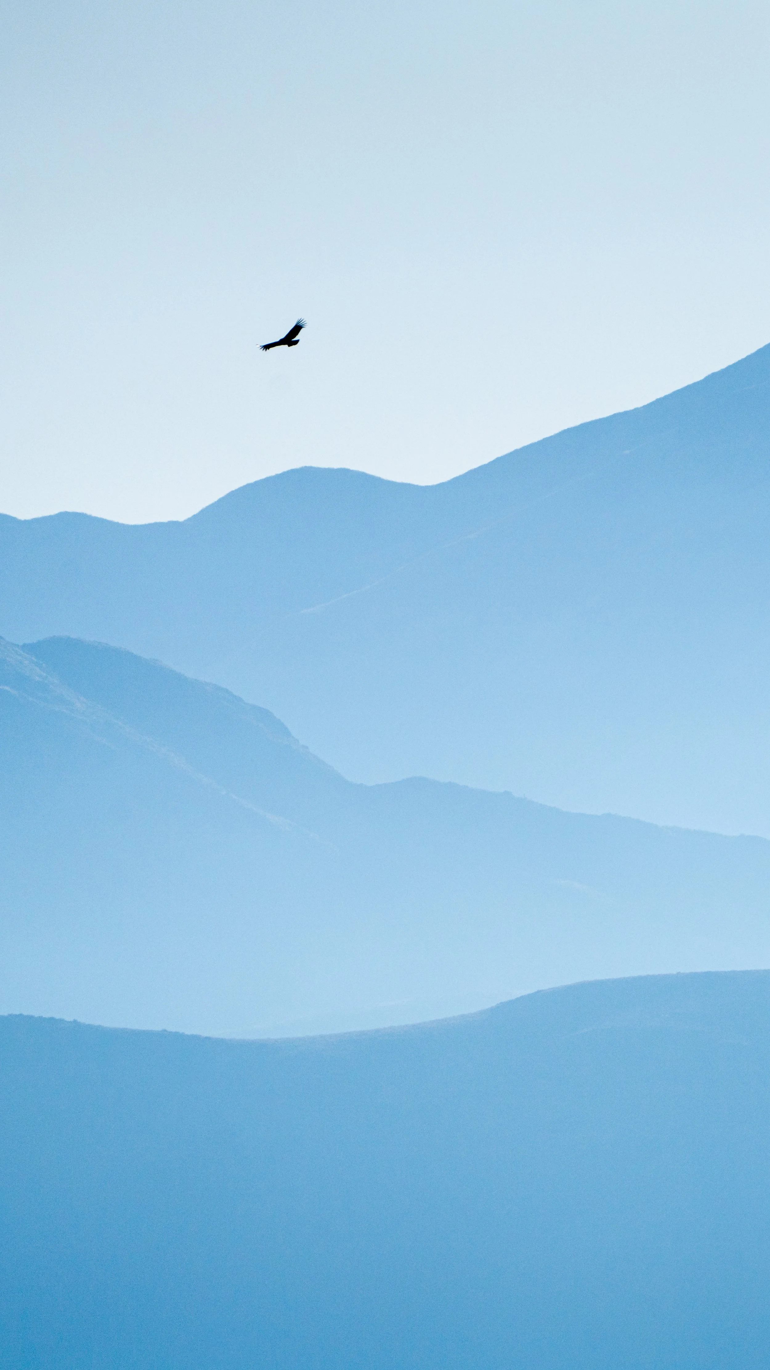 inserts 16-9 video presentacion-5.jpg