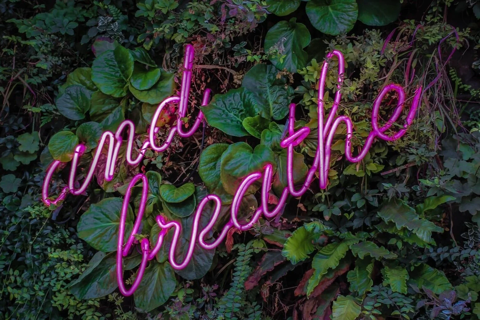 Christian based Meditation and Movement