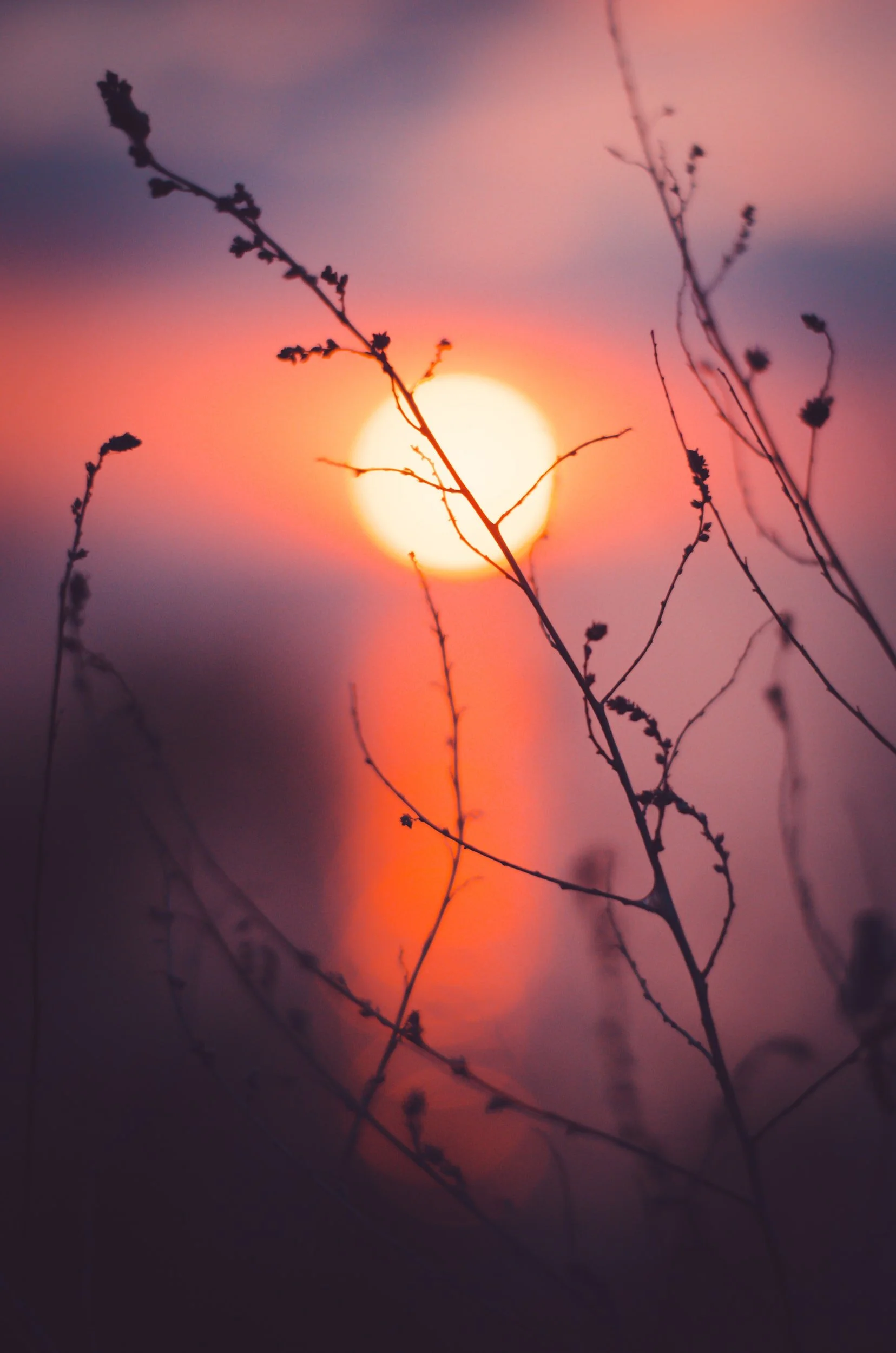 unsplash-image-ndvC6UX1h2Q.jpg