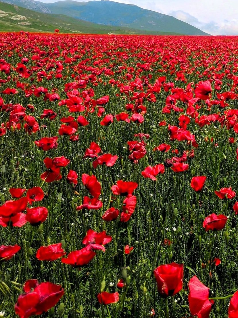 Remembrance Sunday on The Square, Market Harborough