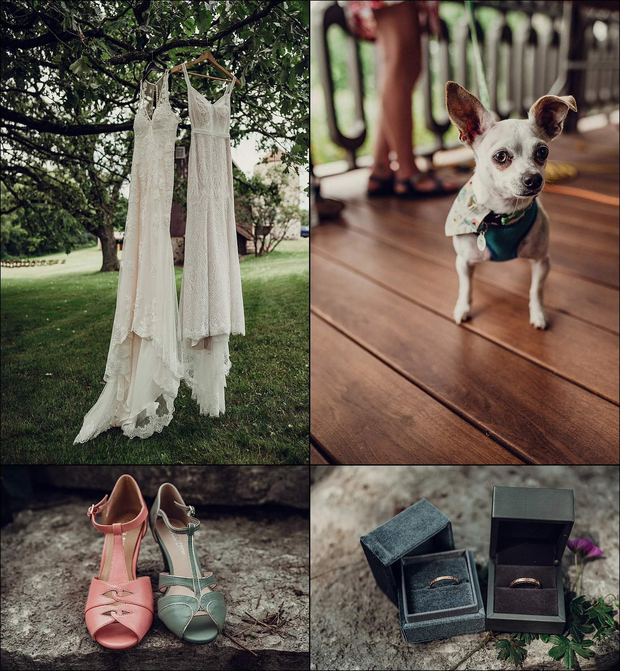 MKE Bride and groom Married in Milwaukee at the Wisconsin Farm Barn Wedding Lesbian lgbtq bride backyard wedding_0648.jpg
