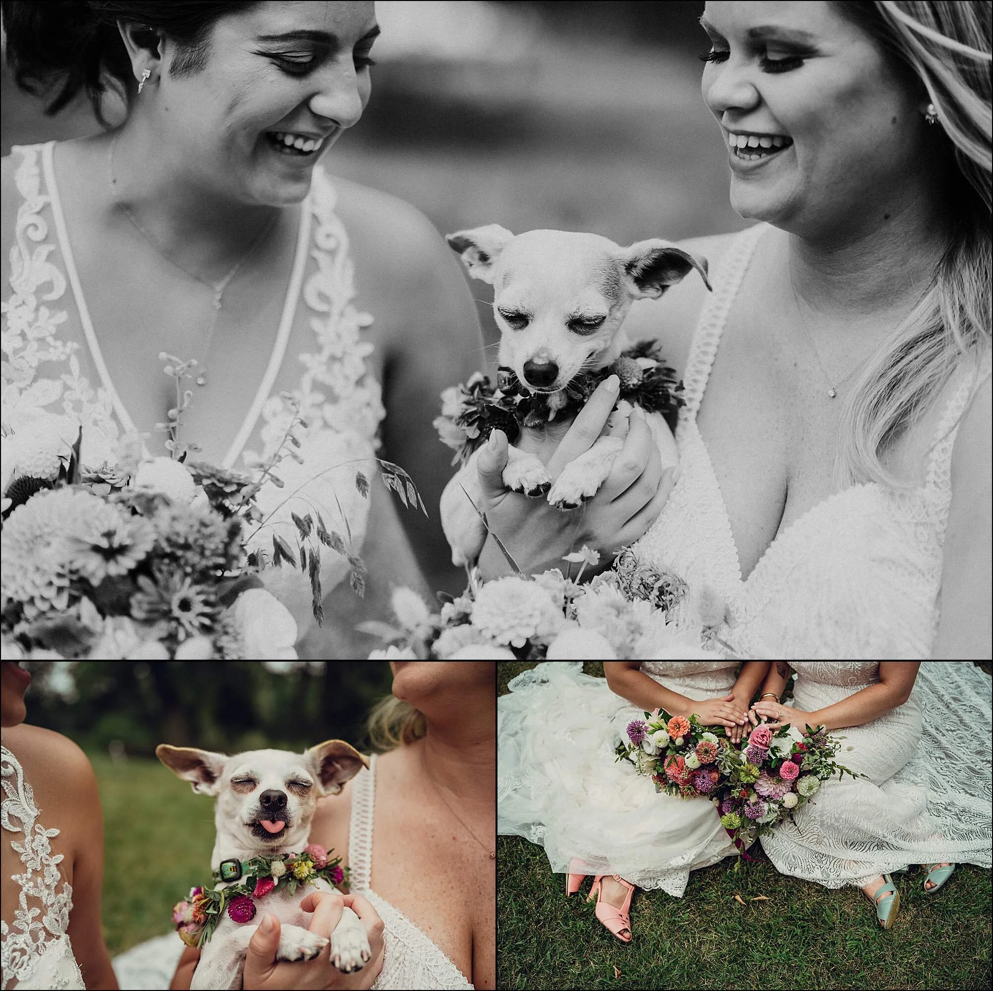 MKE Bride and groom Married in Milwaukee at the Wisconsin Farm Barn Wedding Lesbian lgbtq bride backyard wedding_0659.jpg