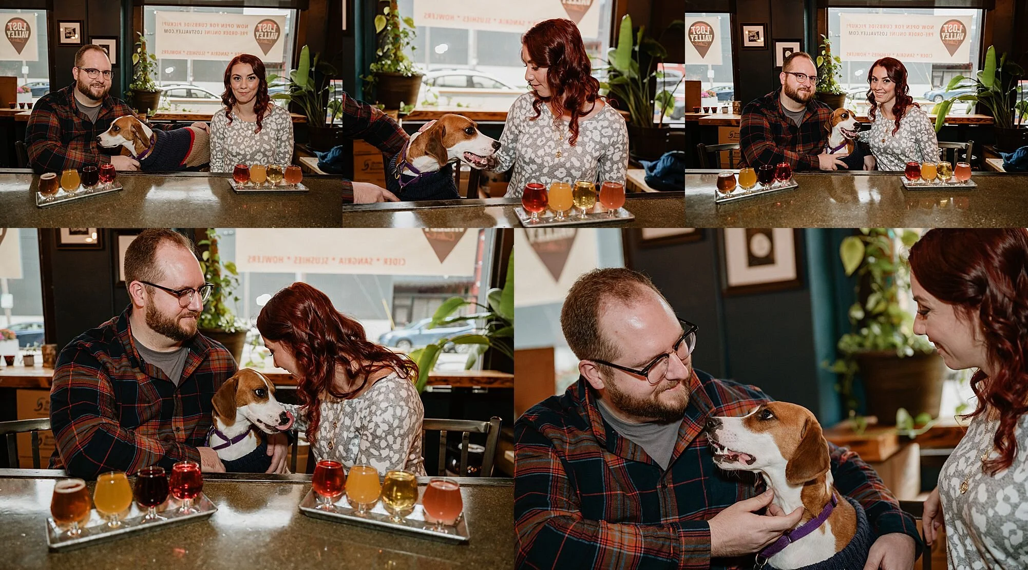 MKE Bride and groom Walkers point hoan bridge lost valley cider must love dogs Married in Milwaukee 1127.jpg