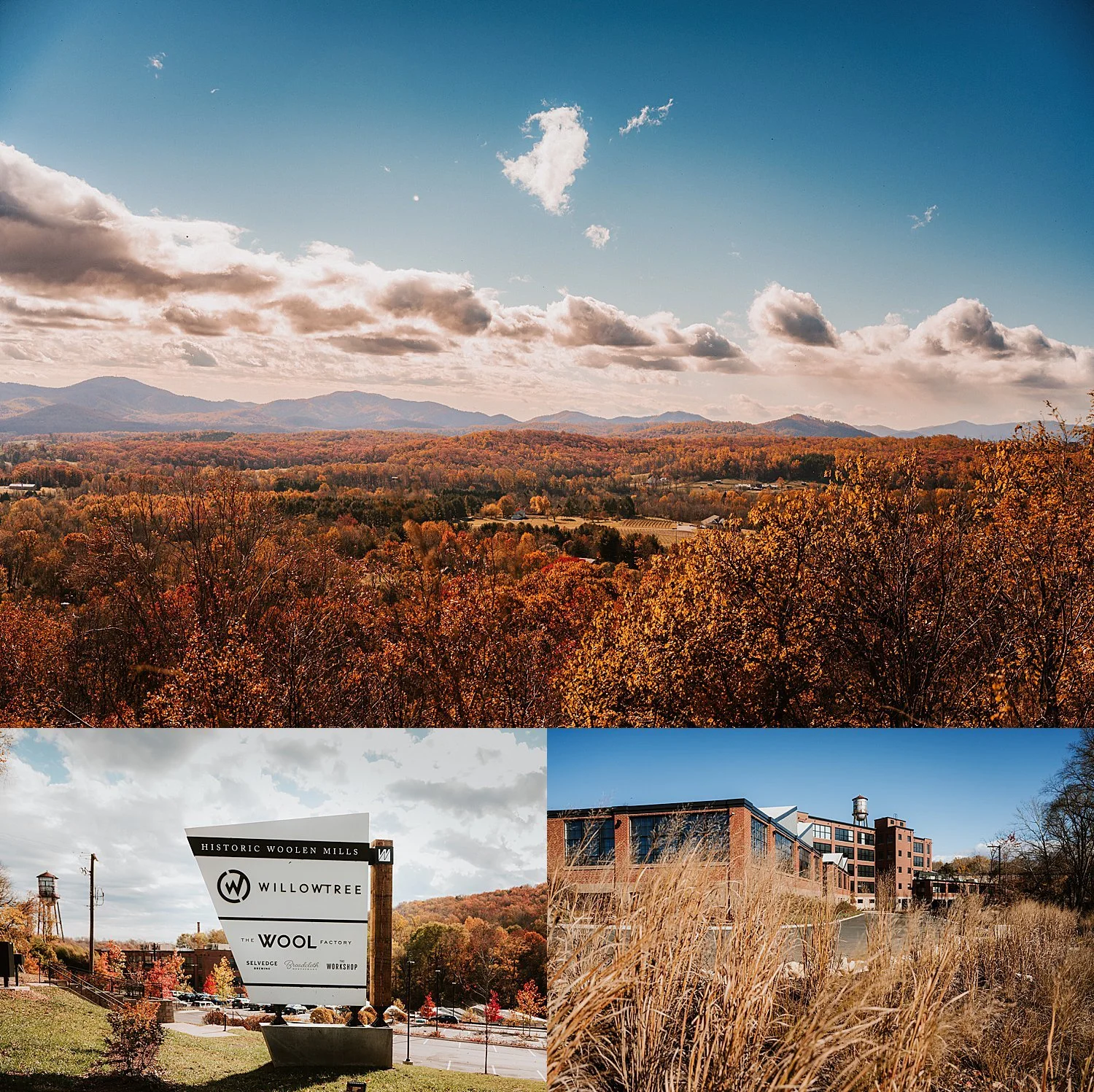 Roostmke Charlottesville Wedding love is love the wool factory LGBTQ Brides fall wedding lightsaber dual_0943.jpg