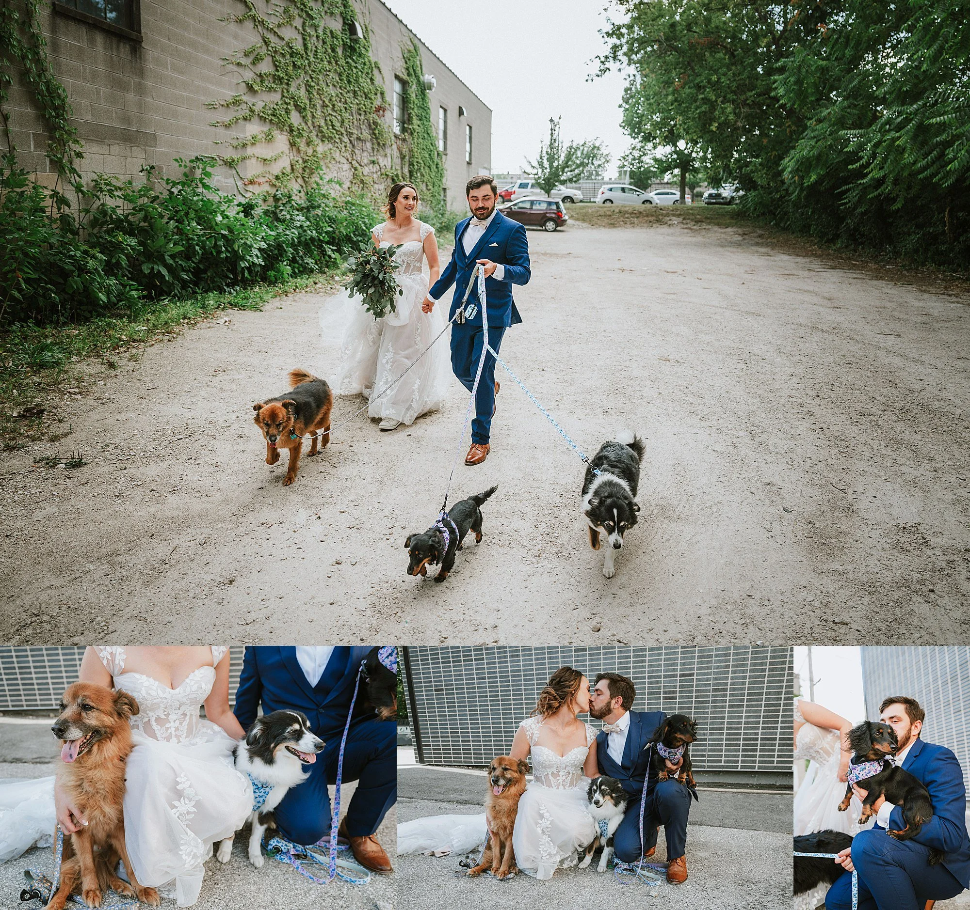 RoostMKE Married in Milwaukee Wedding Collective _ Anodyne Coffee Roasting Co Walkers Point Must love Dogs 2556.jpg
