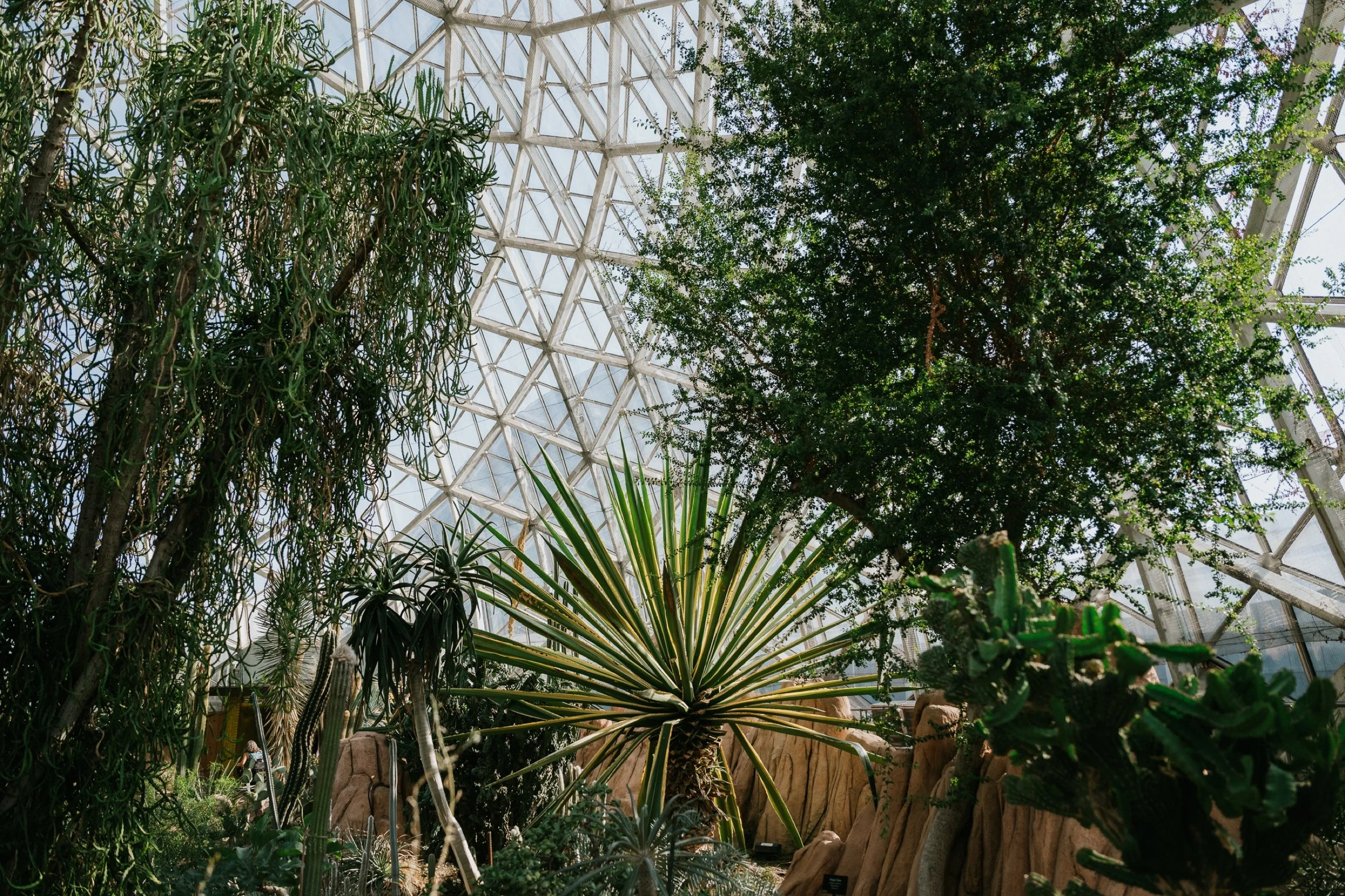 Milwaukee Wedding Photographer Roost Photography - Mitchel Park Domes Best Place Pabst Brewery District 28.jpg