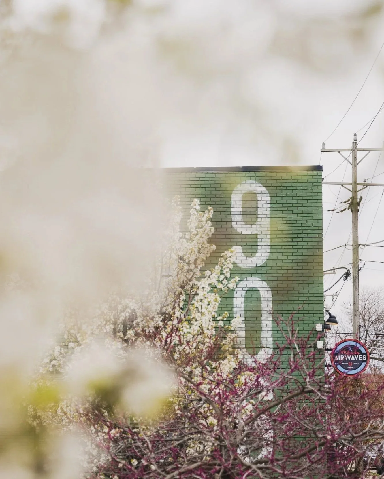 The Ivy House Milwaukee Wedding Photographer Roost Photography 00001.jpg