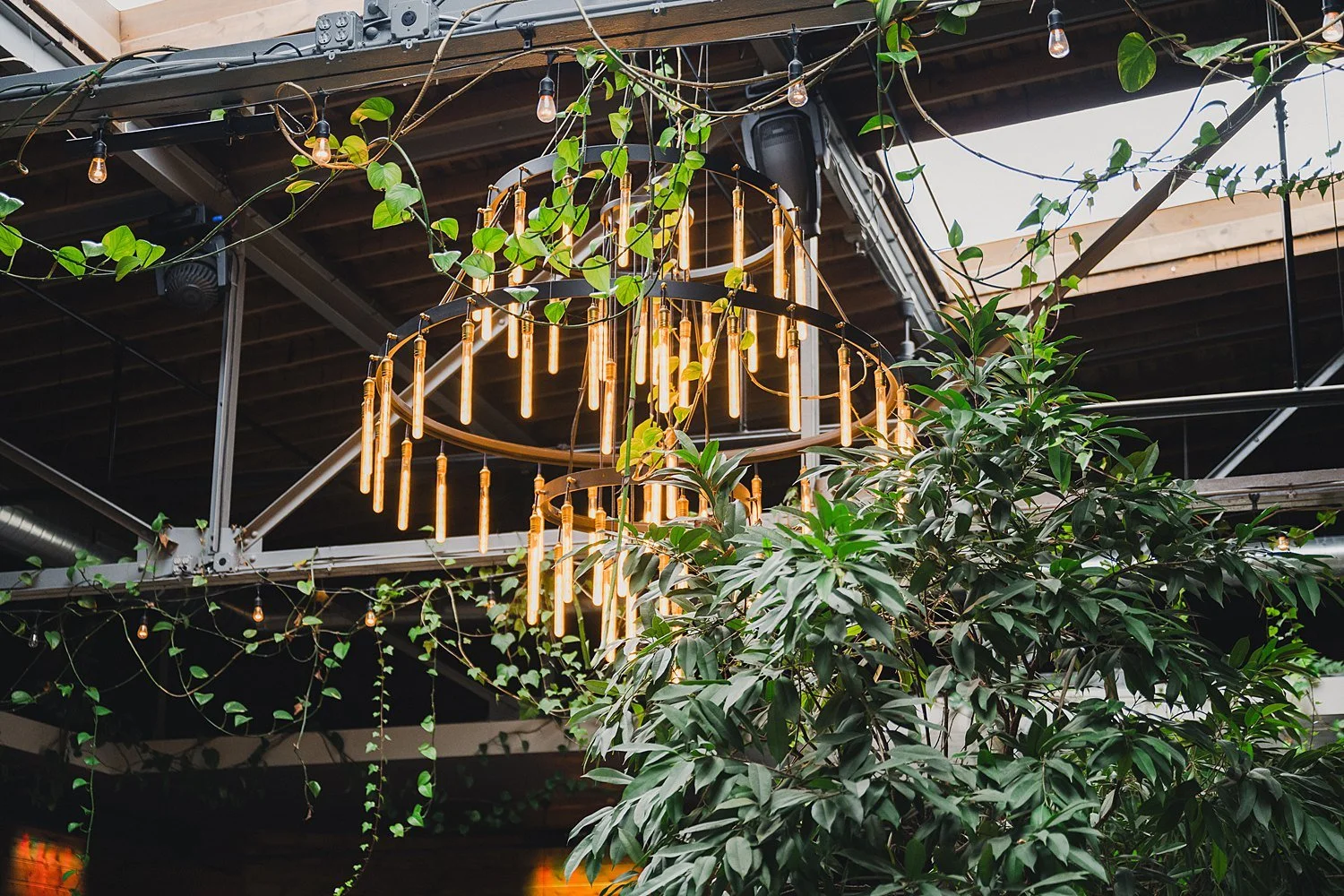 RoostMKE Married in Milwaukee Wedding Photographer_1607.jpg