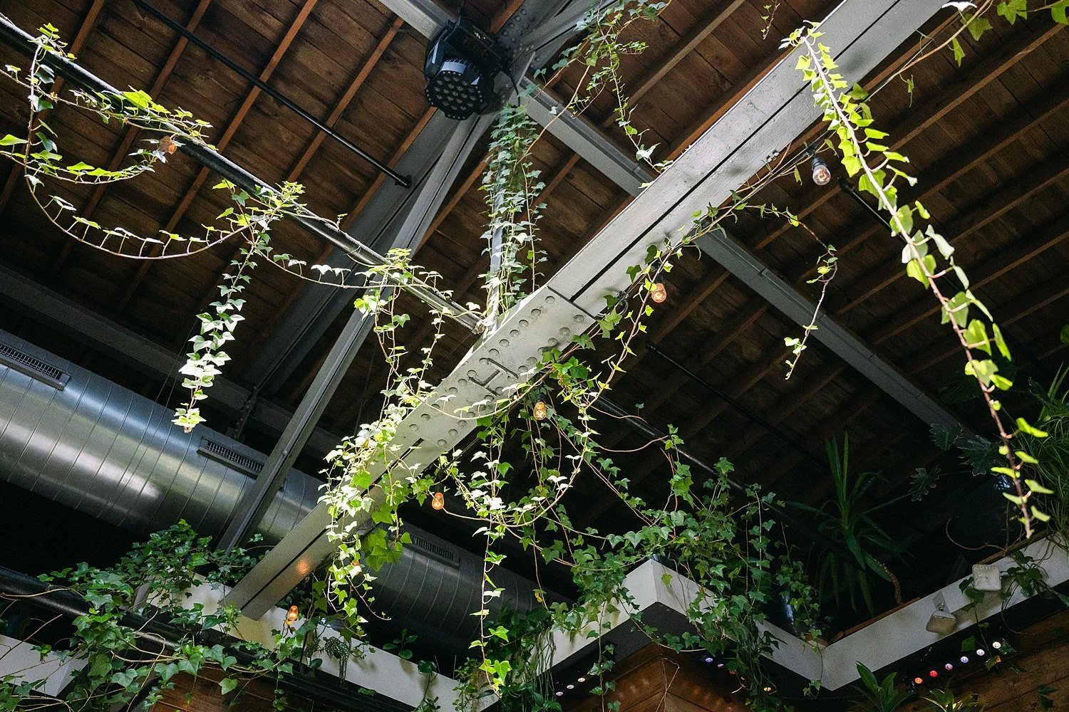 RoostMKE Married in Milwaukee Wedding Photographer_1674.jpg