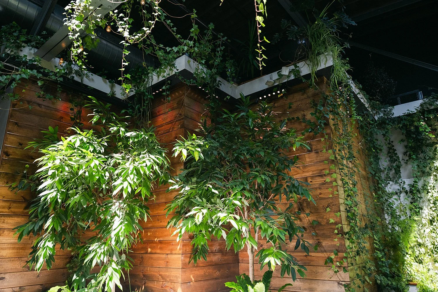 RoostMKE Married in Milwaukee Wedding Photographer_1686.jpg