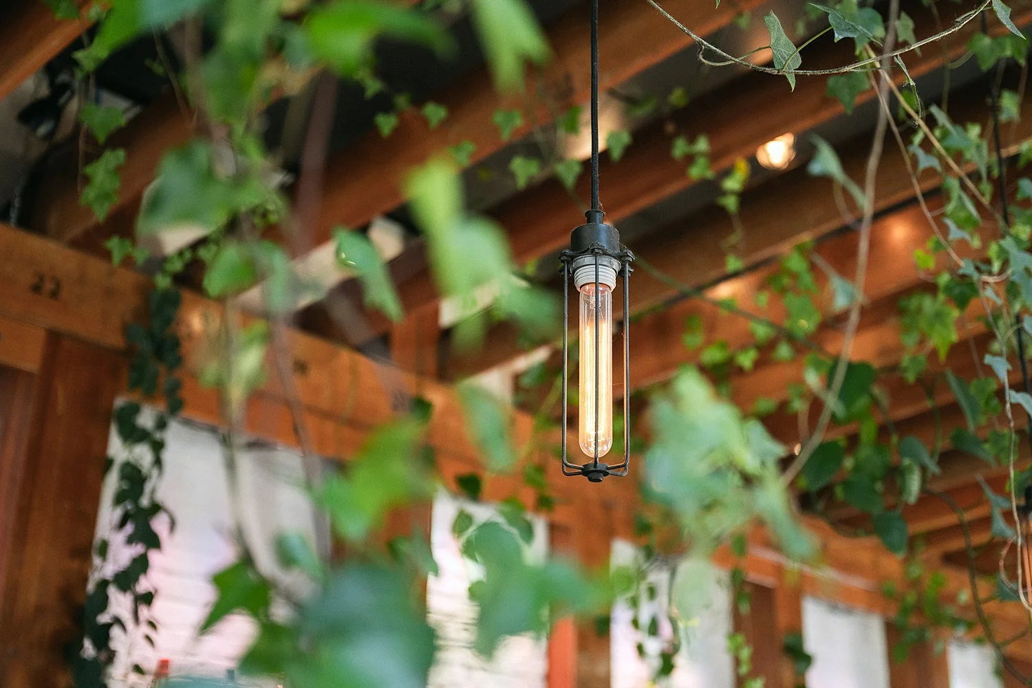 RoostMKE Married in Milwaukee Wedding Photographer_1743.jpg