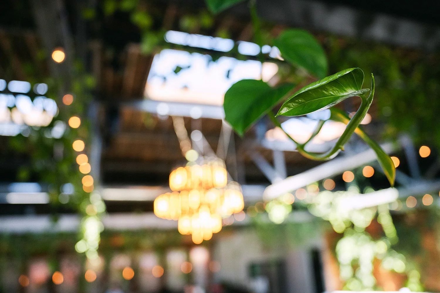 RoostMKE Married in Milwaukee Wedding Photographer_1757.jpg