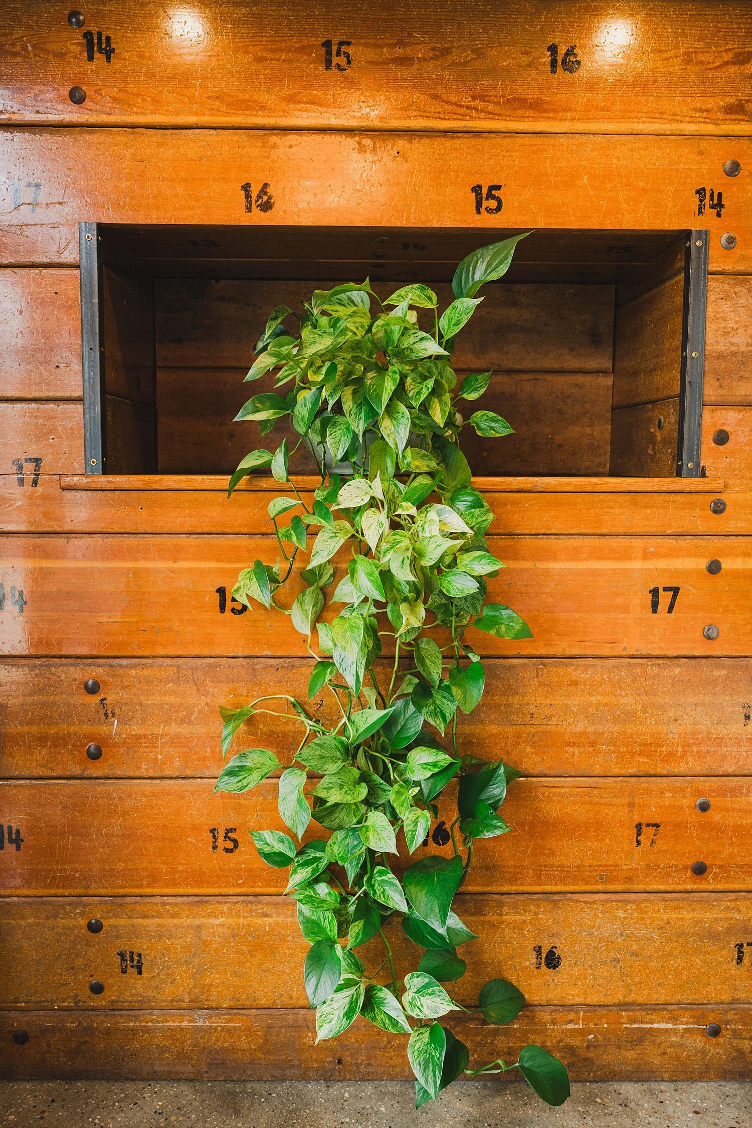 2025.05.02 - Roostmke.com - Candace.Jared.0-19_web.jpg