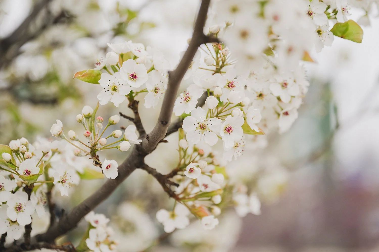 RoostMKE Married in Milwaukee Wedding Photographer_1955.jpg