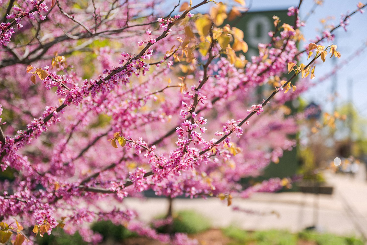 RoostMKE Married in Milwaukee Wedding Photographer_1980.jpg