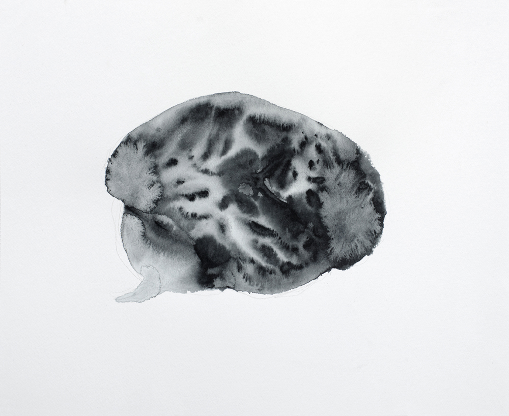 BRAIN (2013) watercolor and pencil on paper 32 x 40 cm