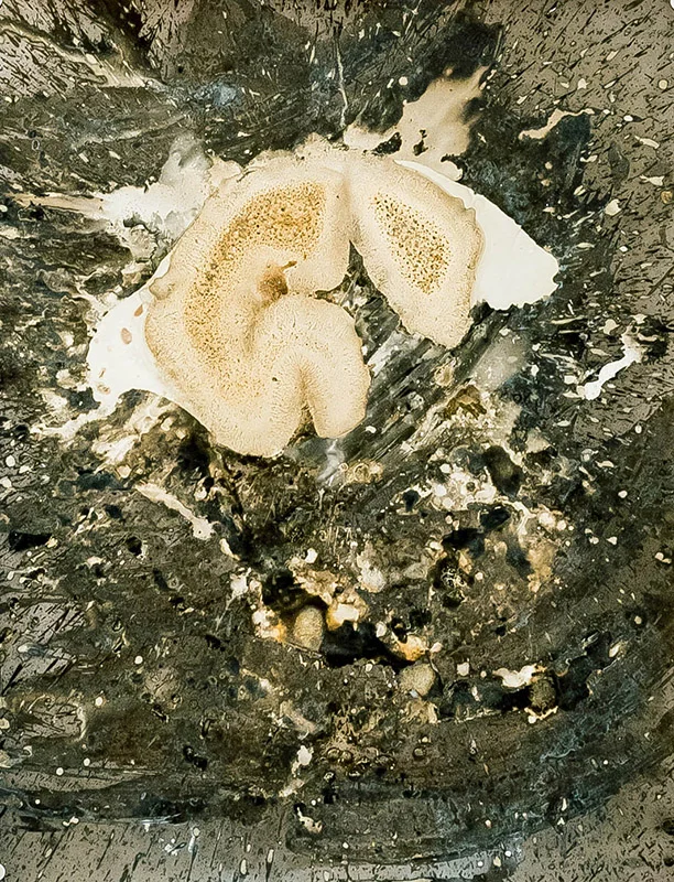 UNTITLED (1999) photo chemicals on photo sensitive paper, 50 x 40 cm