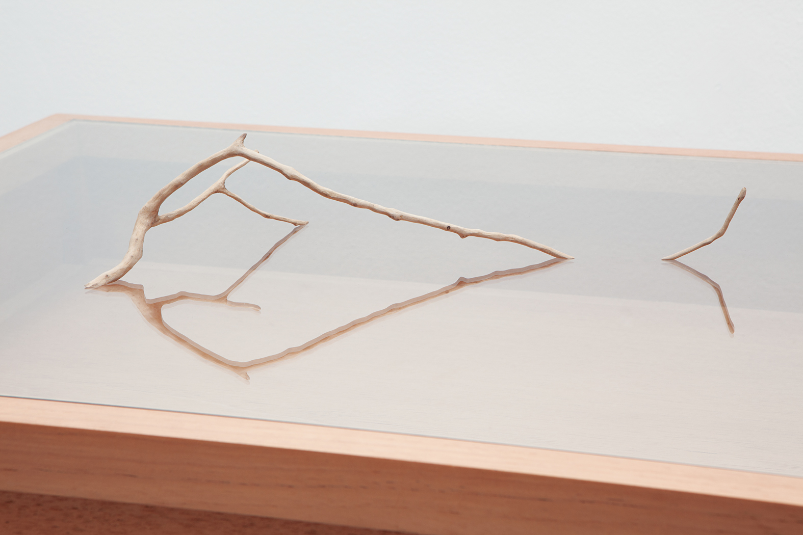 SEM VENTO/ WINDLESS (2013) tree branch and showcase, 90 x 100 x 70 cm