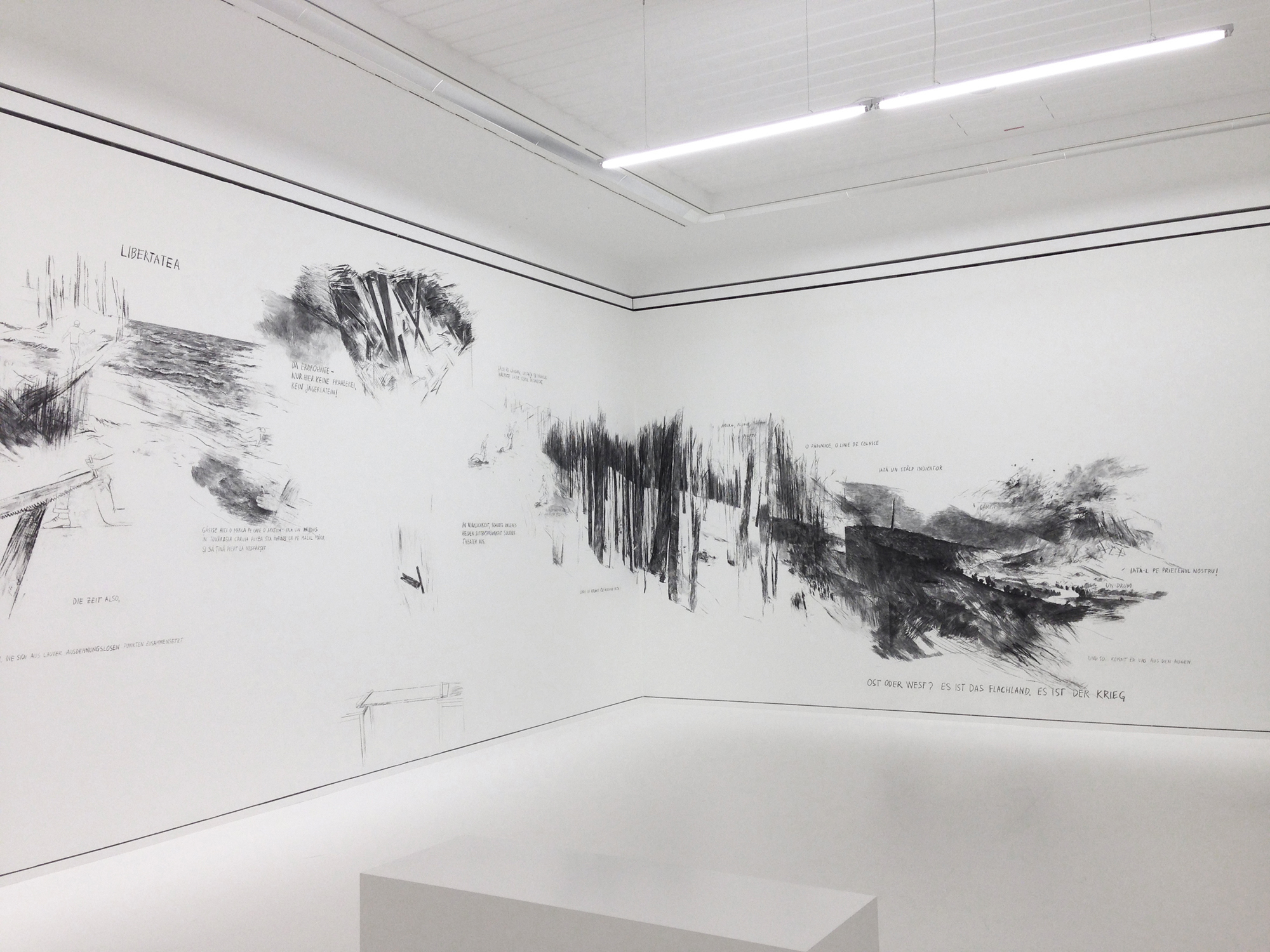 MÄNNERAKT (2014) graphite, charcoal drawing, dimensions variable, Exhibition view Leopold Museum, Vienna, Image copyright: Paul Hemetsberger