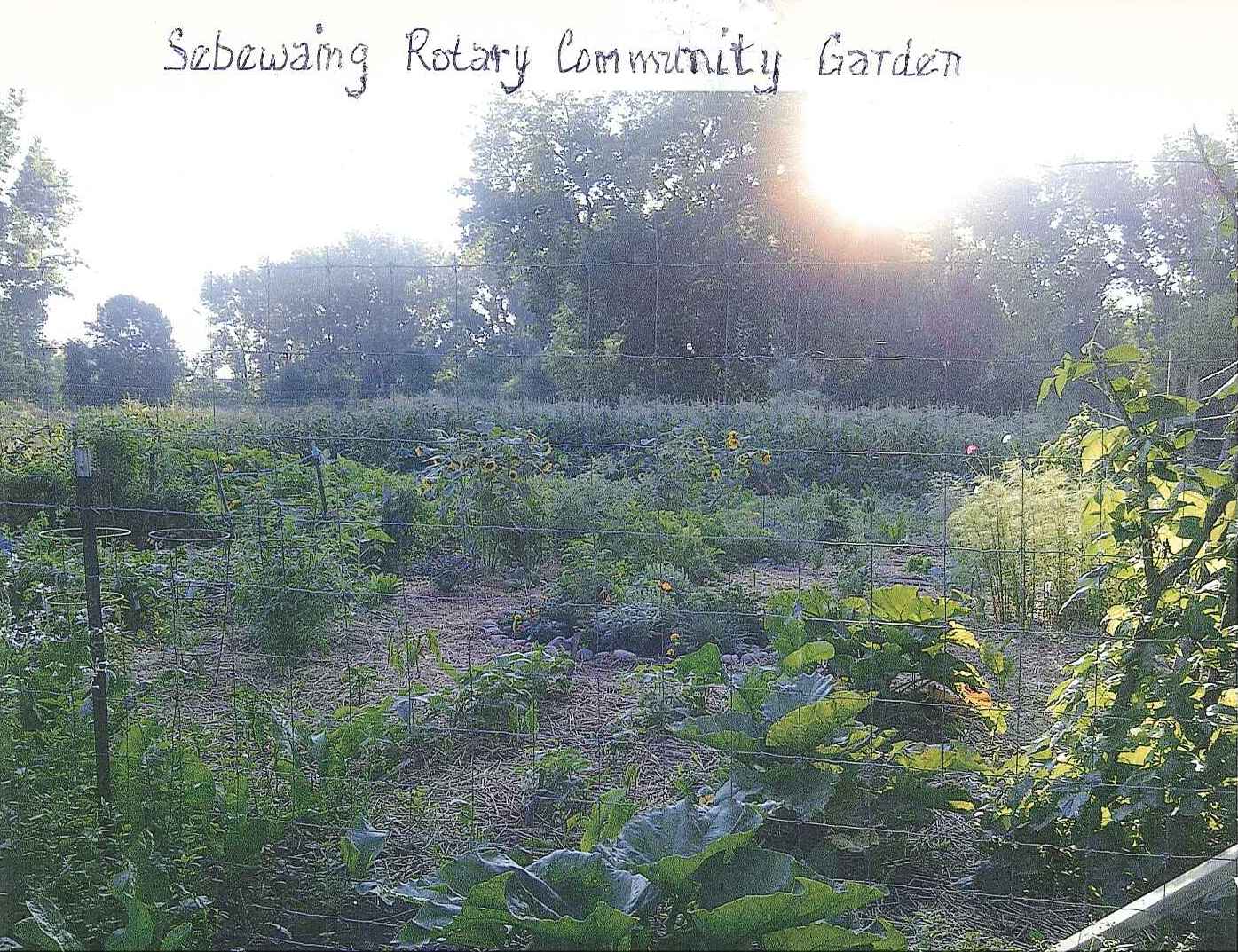 Sebewaing Rotary Garden.jpg