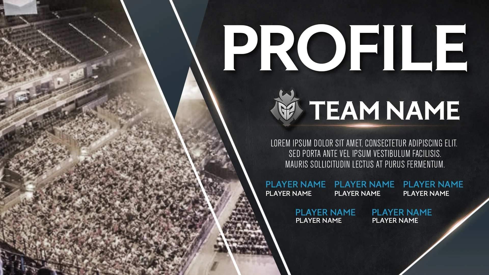 AoV_Team_Profile.jpg