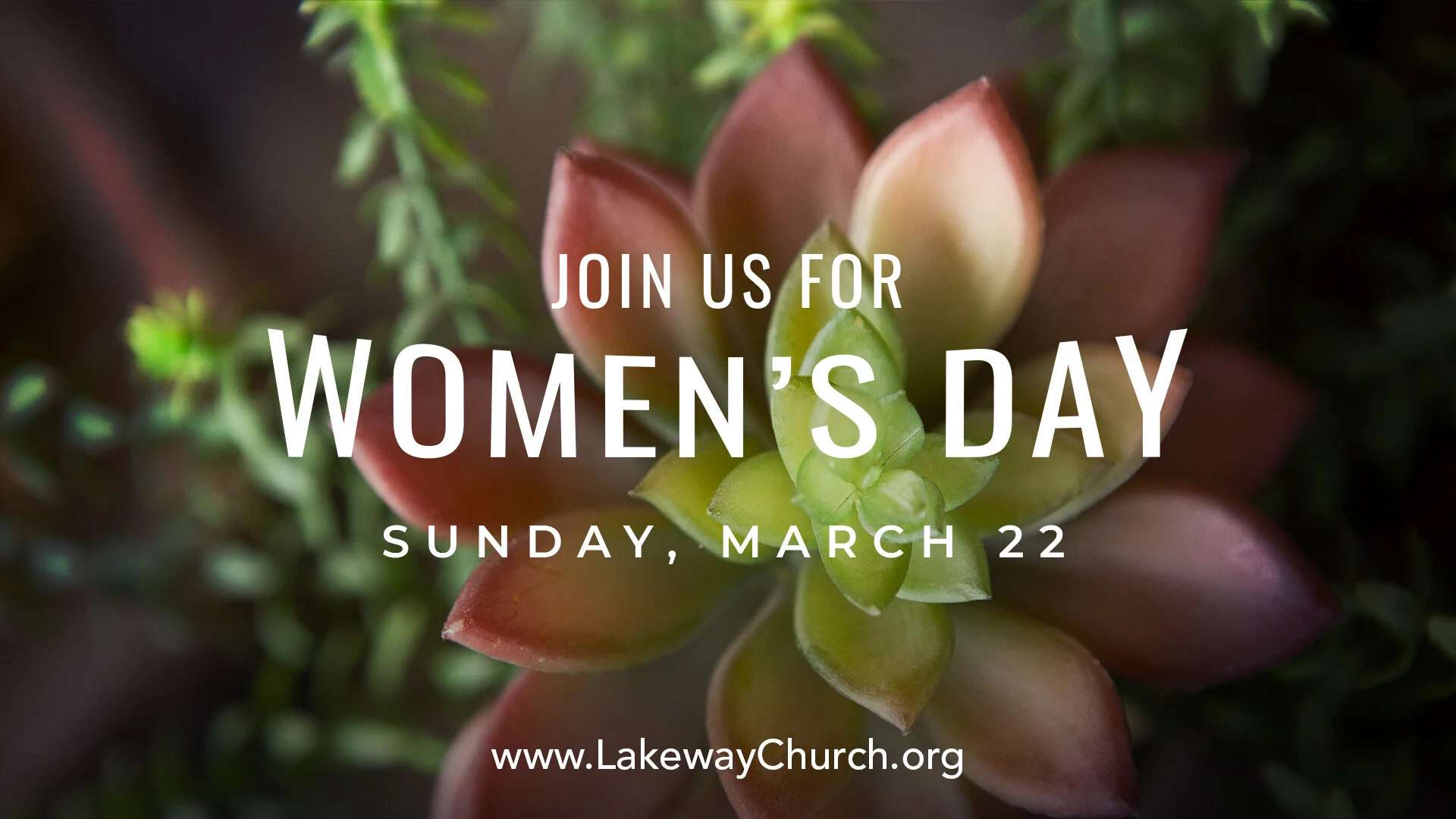 Womens-Day-16x9-v2-03.jpg