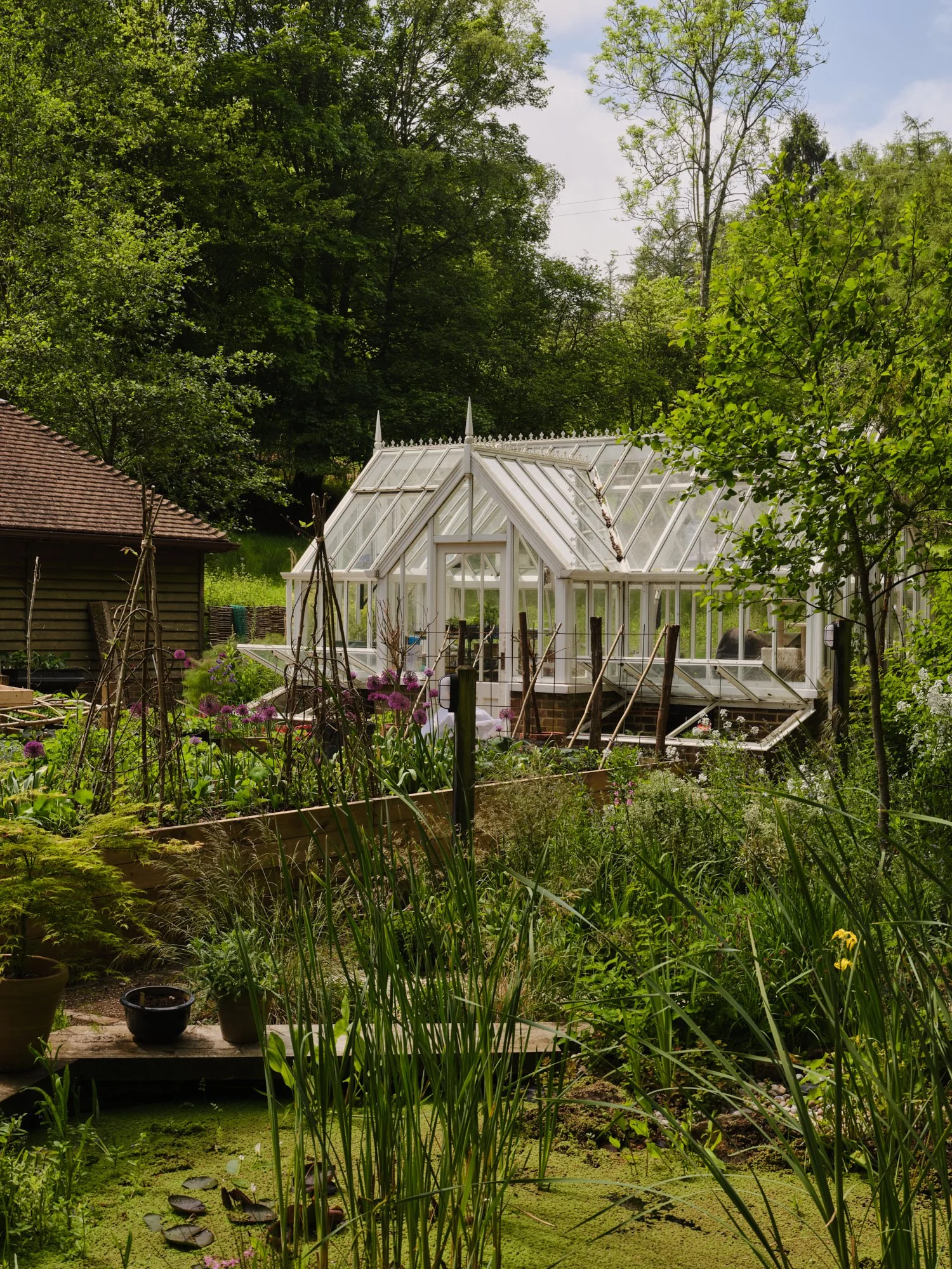 DSCF4069.jpg