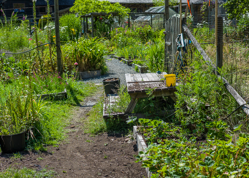 _Garden and Greenhouse_-17.jpg