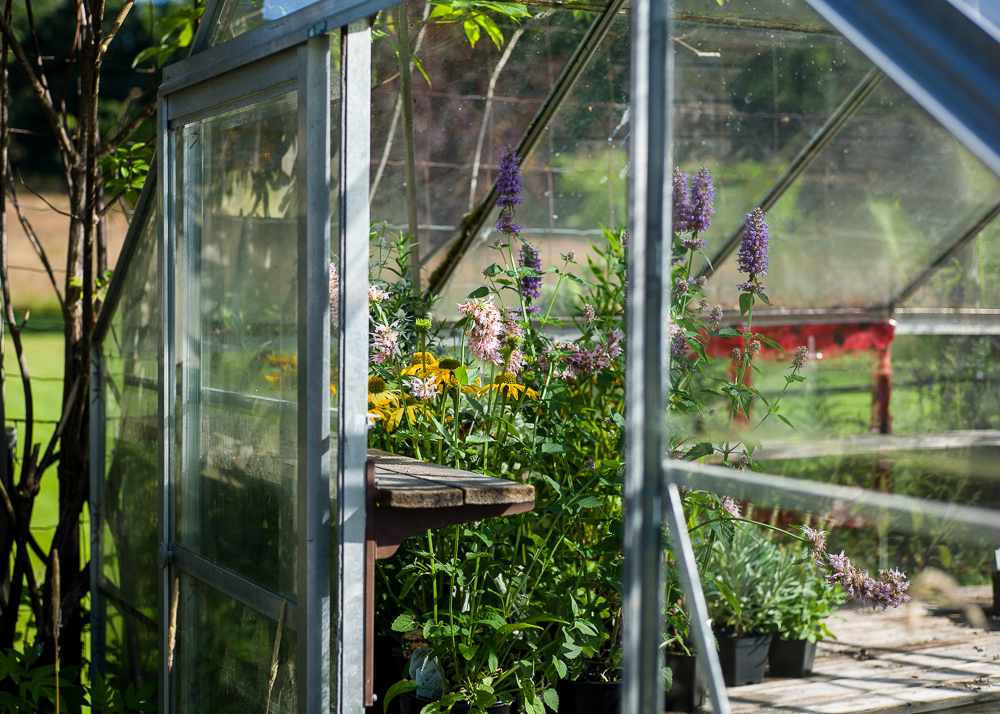 _Garden and Greenhouse_-8.jpg