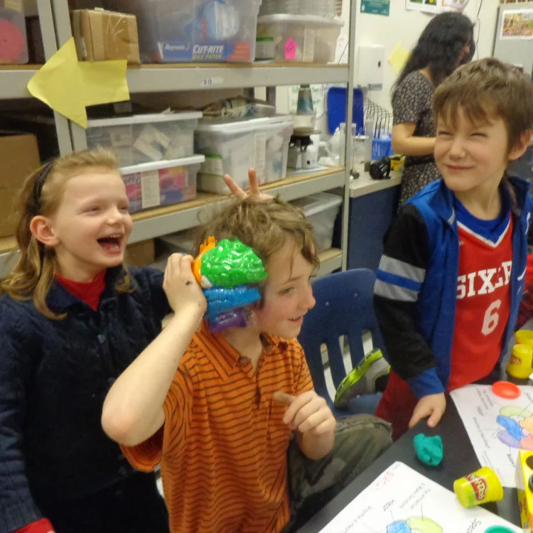 Kids making model brains out of play-doh in GLIA's Elementary Outreach Program