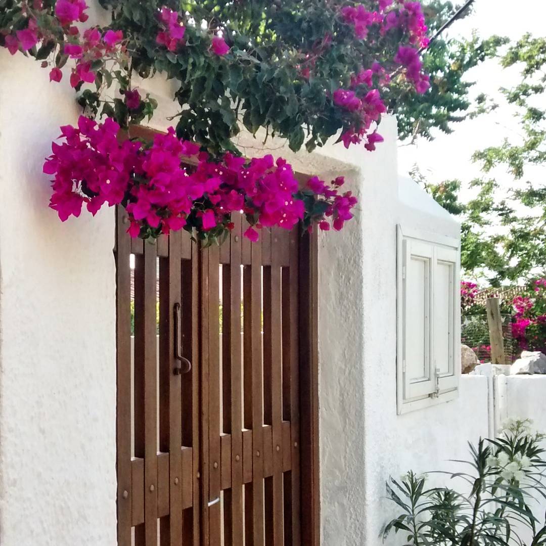   The simplistic, characteristic beauty of Greek island life in Hydra, Greece.  