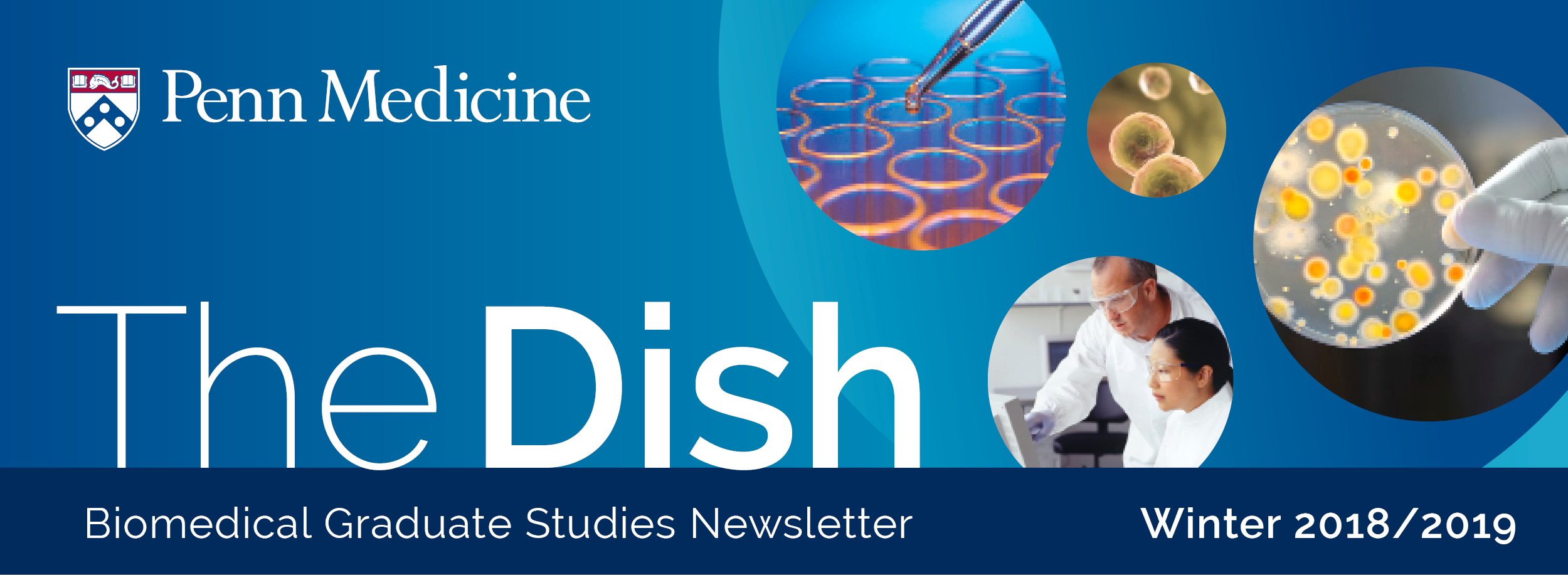 Dish Header Winter 2018.png