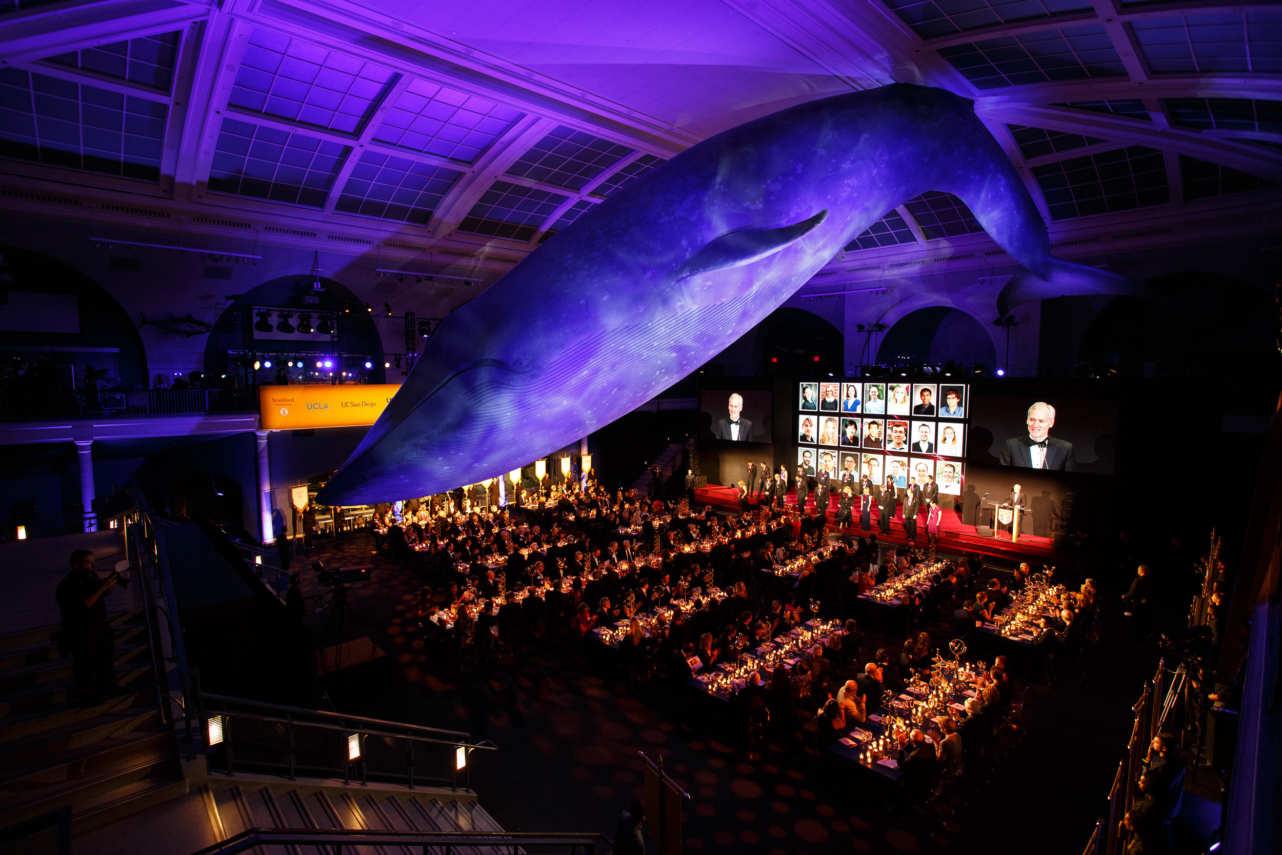   The Irma and Paul Milstein Family Hall of Ocean Life at the American Museum of Natural History  