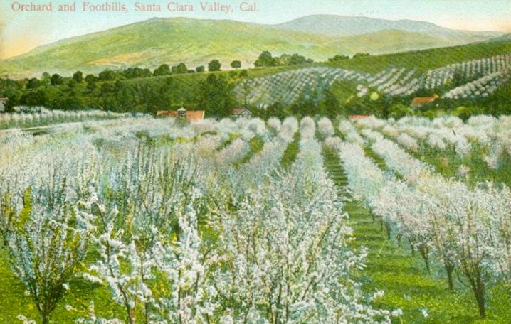 The Valley