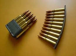 These are clips for rifles.